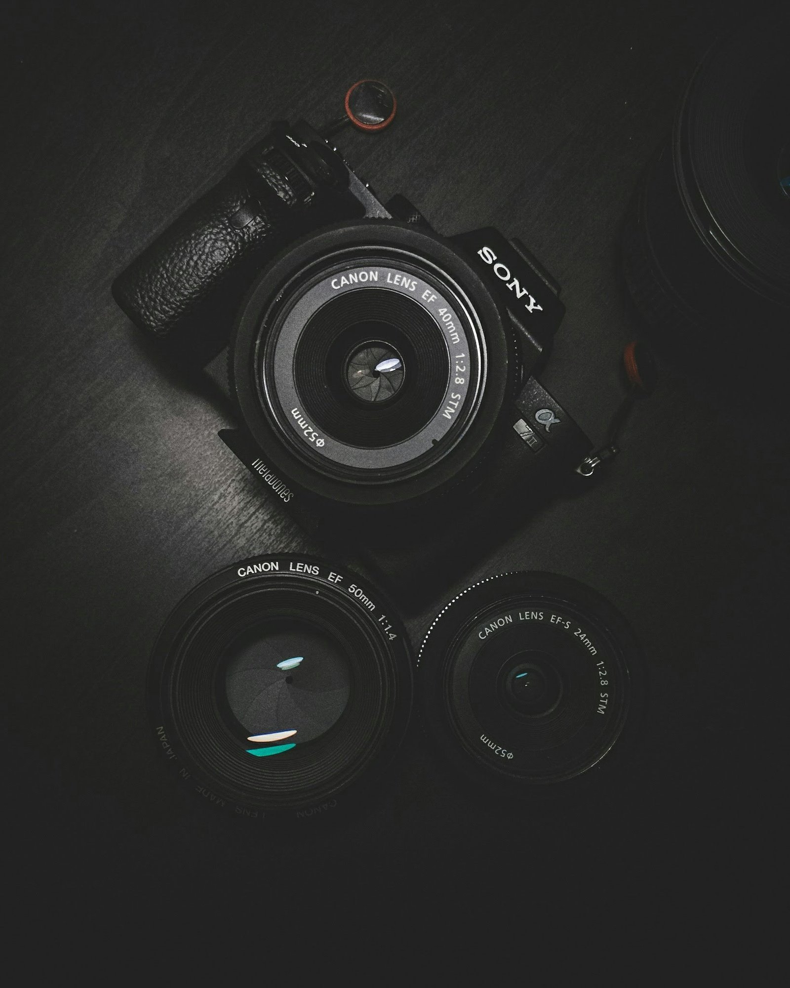 Professional camera